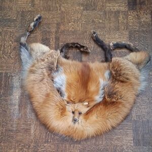 Vintage Fox Fur Stole